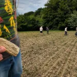 У Прикарпатті виявили знахідки доби Трипілля на розораних полях
