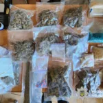 Психотропи поштою та «закладки»: на Прикарпатті викрили сімейний наркобізнес