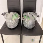 Вибухи на паркінгу та біля будинку: СБУ і поліція зірвали масштабний теракт в Івано-Франківську