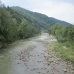 На Прикарпатті перевіряють можливе забруднення Бистриці Надвірнянської