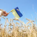 Святкуймо разом: у Франківську оприлюднили програму до Дня Прапора та Незалежності