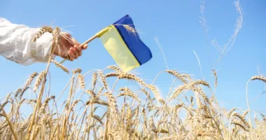 Святкуймо разом: у Франківську оприлюднили програму до Дня Прапора та Незалежності