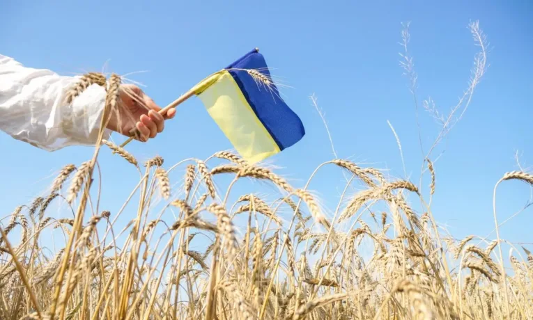Святкуймо разом: у Франківську оприлюднили програму до Дня Прапора та Незалежності