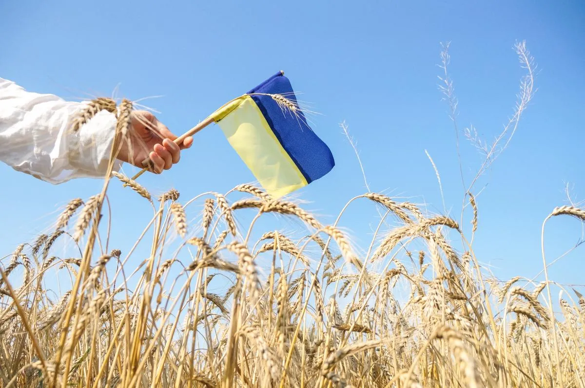 Святкуймо разом: у Франківську оприлюднили програму до Дня Прапора та Незалежності