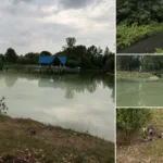 Масова загибель птахів і риби: у Калуші перевіряють міське озеро